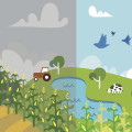 The Power of Organic Farming: A Sustainable Solution