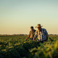 How Subsistence Farming and Agriculture Sustain Communities and Support Global Food Security