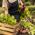 The Sustainable Choice: The Advantages of Organic Farming