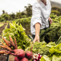 The Importance of Understanding Organic Farming Standards and Practices