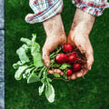 The Advantages and Disadvantages of Organic Farming: An Expert's Perspective