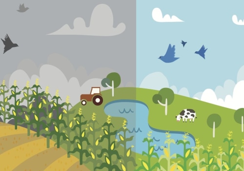 The Power of Organic Farming: A Sustainable Solution