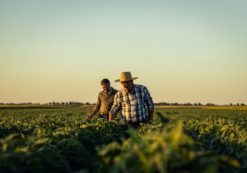 How Subsistence Farming and Agriculture Sustain Communities and Support Global Food Security