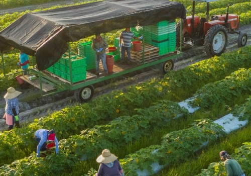 The Do's and Don'ts of Organic Farming