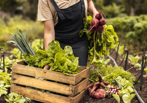 The Sustainable Choice: The Advantages of Organic Farming