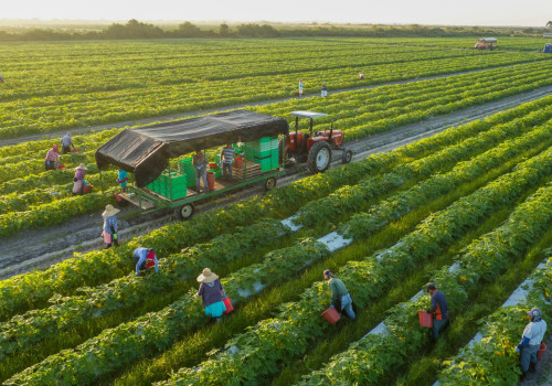 The Secrets of Organic Farming: A Comprehensive Guide