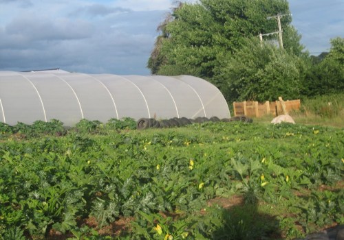 The Intricate World of Organic Farming: A Comprehensive Guide