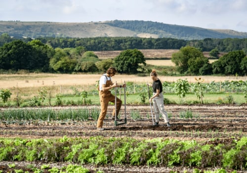 Exploring the Principles and Examples of Regenerative Agriculture in Organic Farming