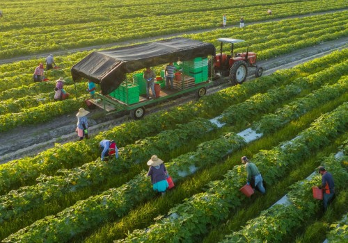 Organic Farming: A Sustainable and Healthy Alternative