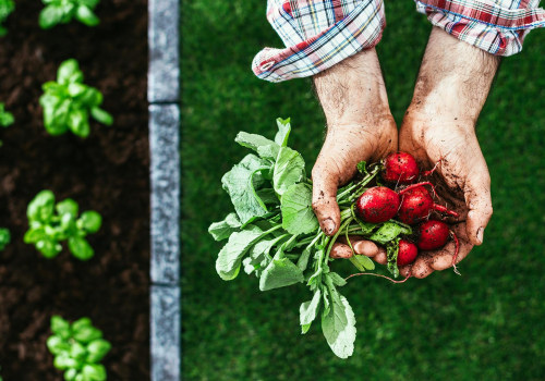The Advantages and Disadvantages of Organic Farming: An Expert's Perspective